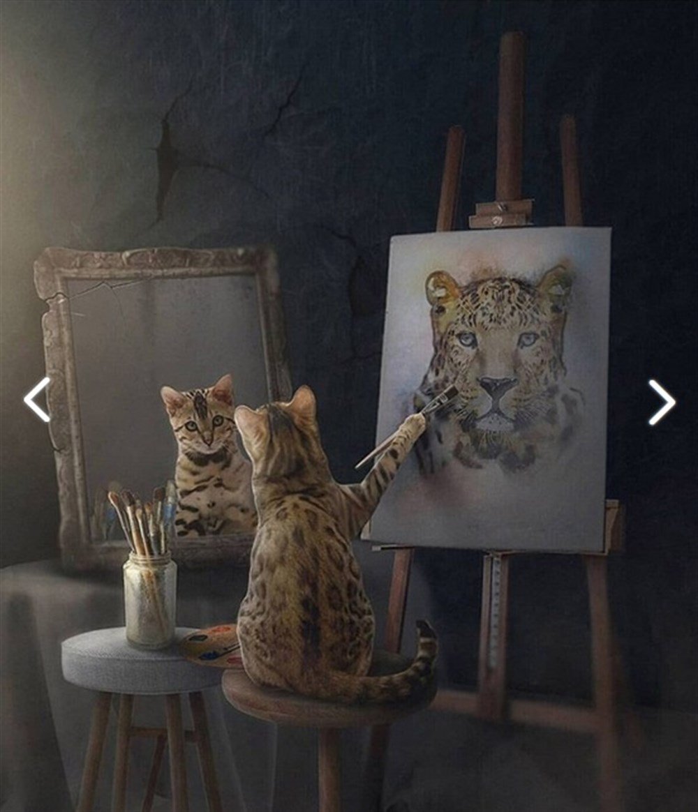 MODERNMarcel Sanat Elmas Mozaik Tablo & Diamond Painting TurkeyM20176502Ressam Kedi Marcel Sanat Elmas Mozaik Tablo 56X66cm