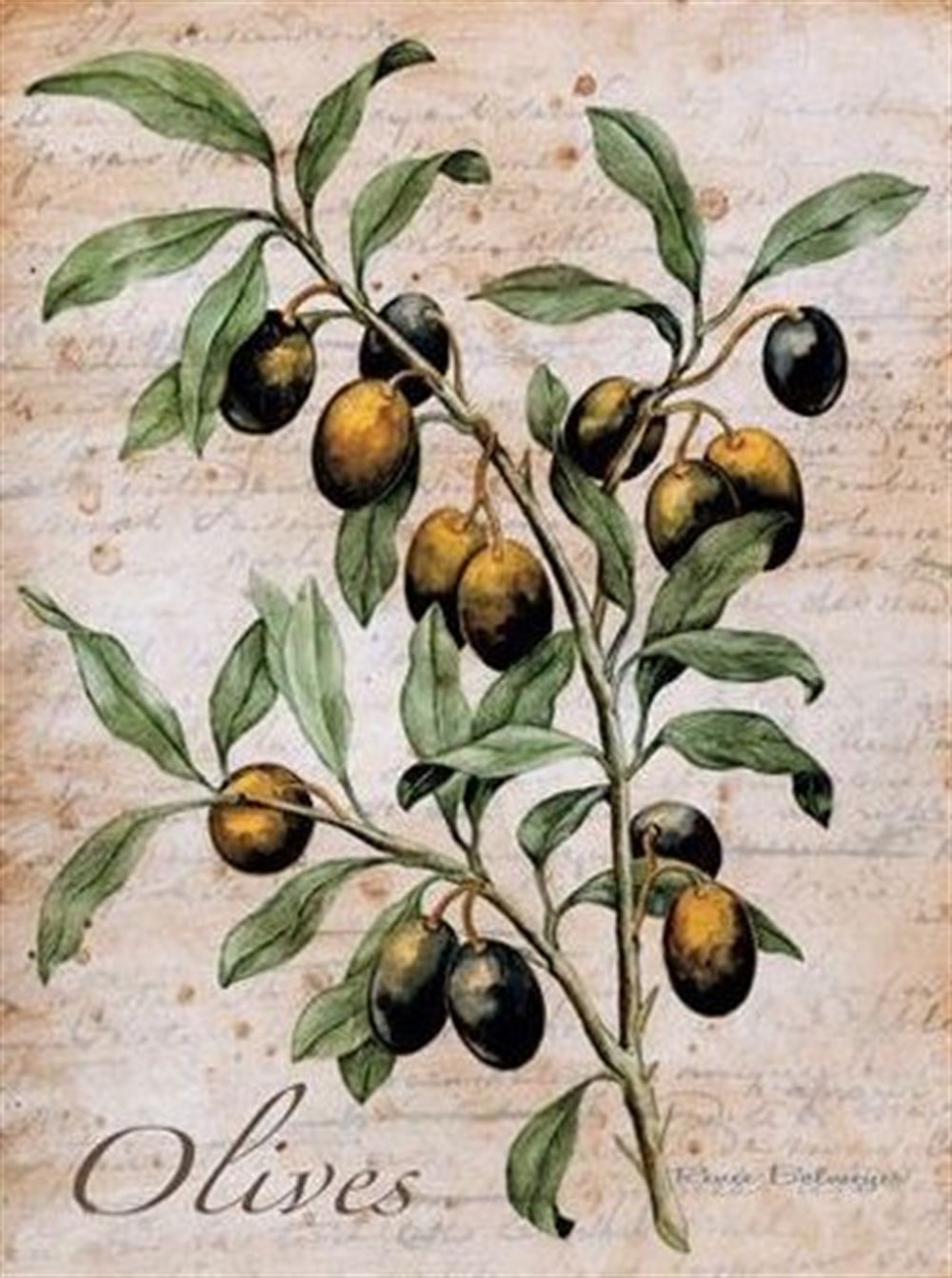 MUTFAKMarcel Sanat Elmas Mozaik Tablo & Diamond Painting TurkeyM20176273Dalında Zeytinler Marcel Sanat Elmas Mozaik Tablo 43X58cm