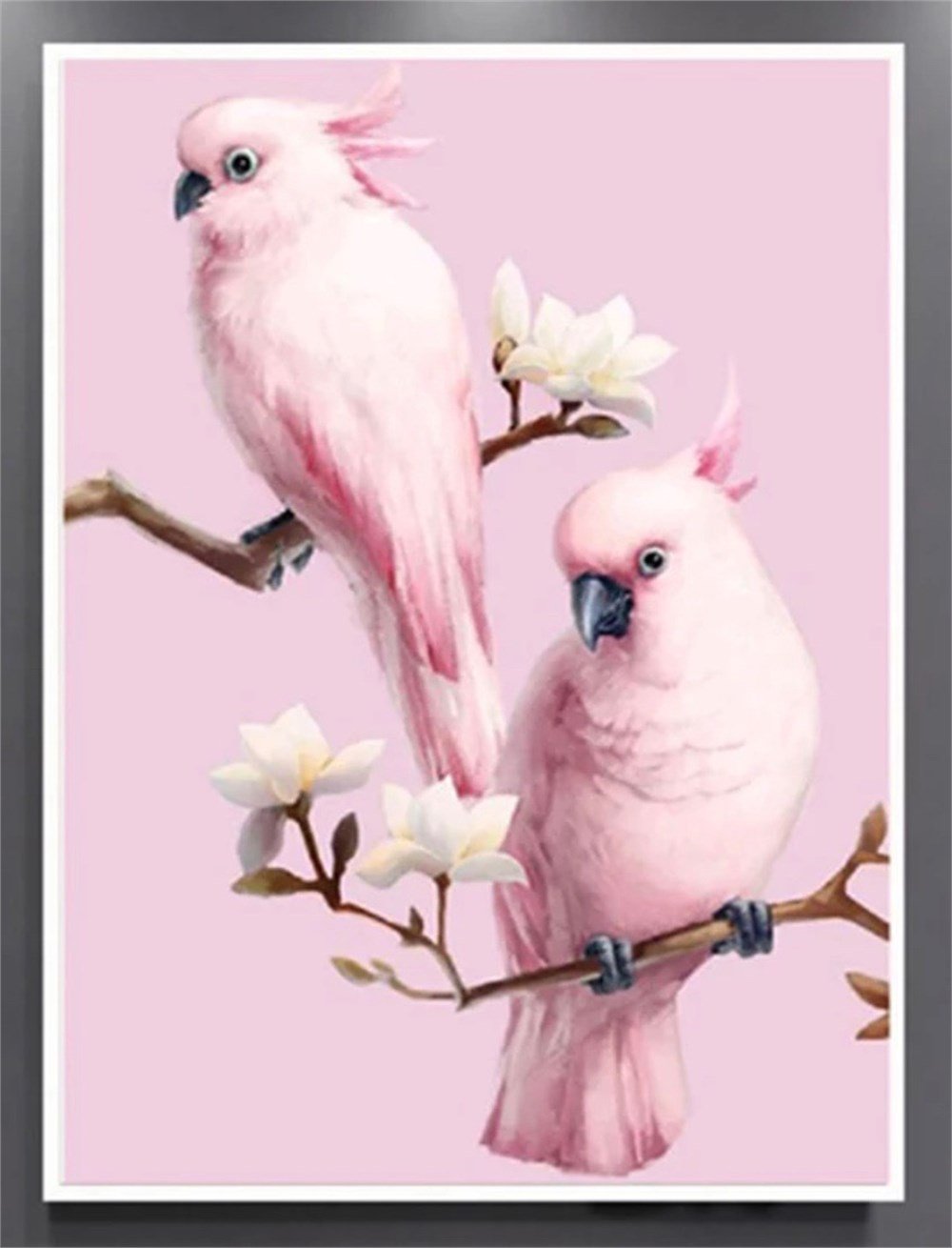PEMBE KUŞLAR