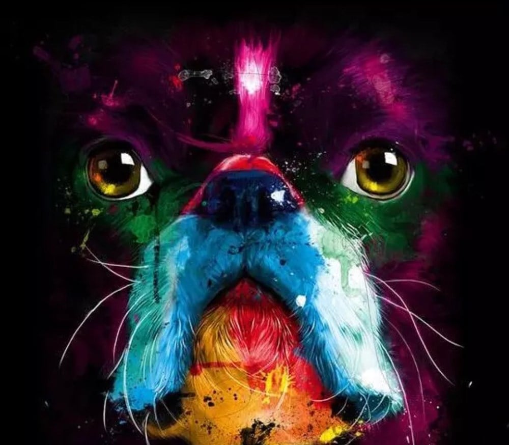 RENGARENK KÖPEK