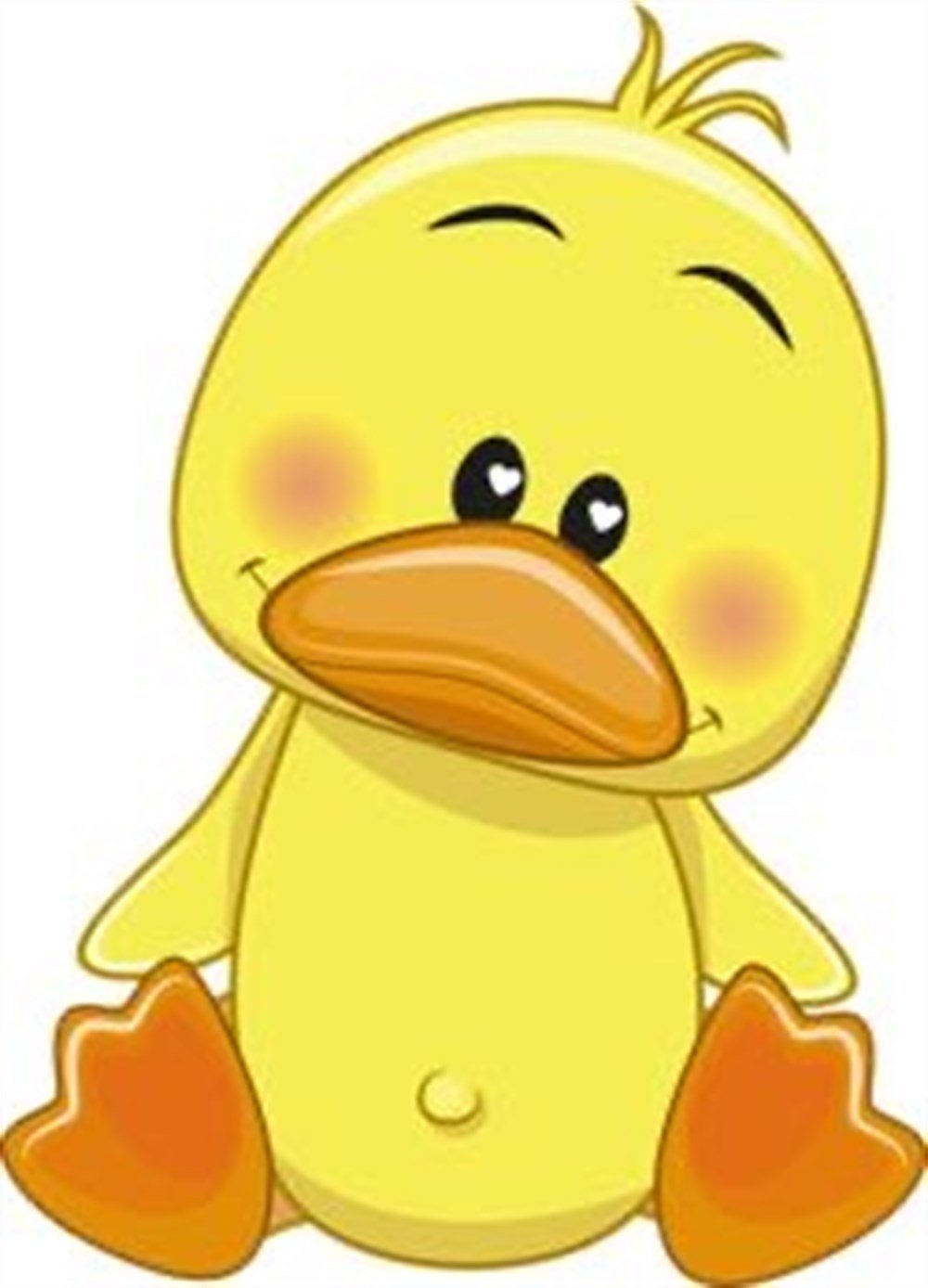 Sevimli Ördek Yavrusu 20x28cm