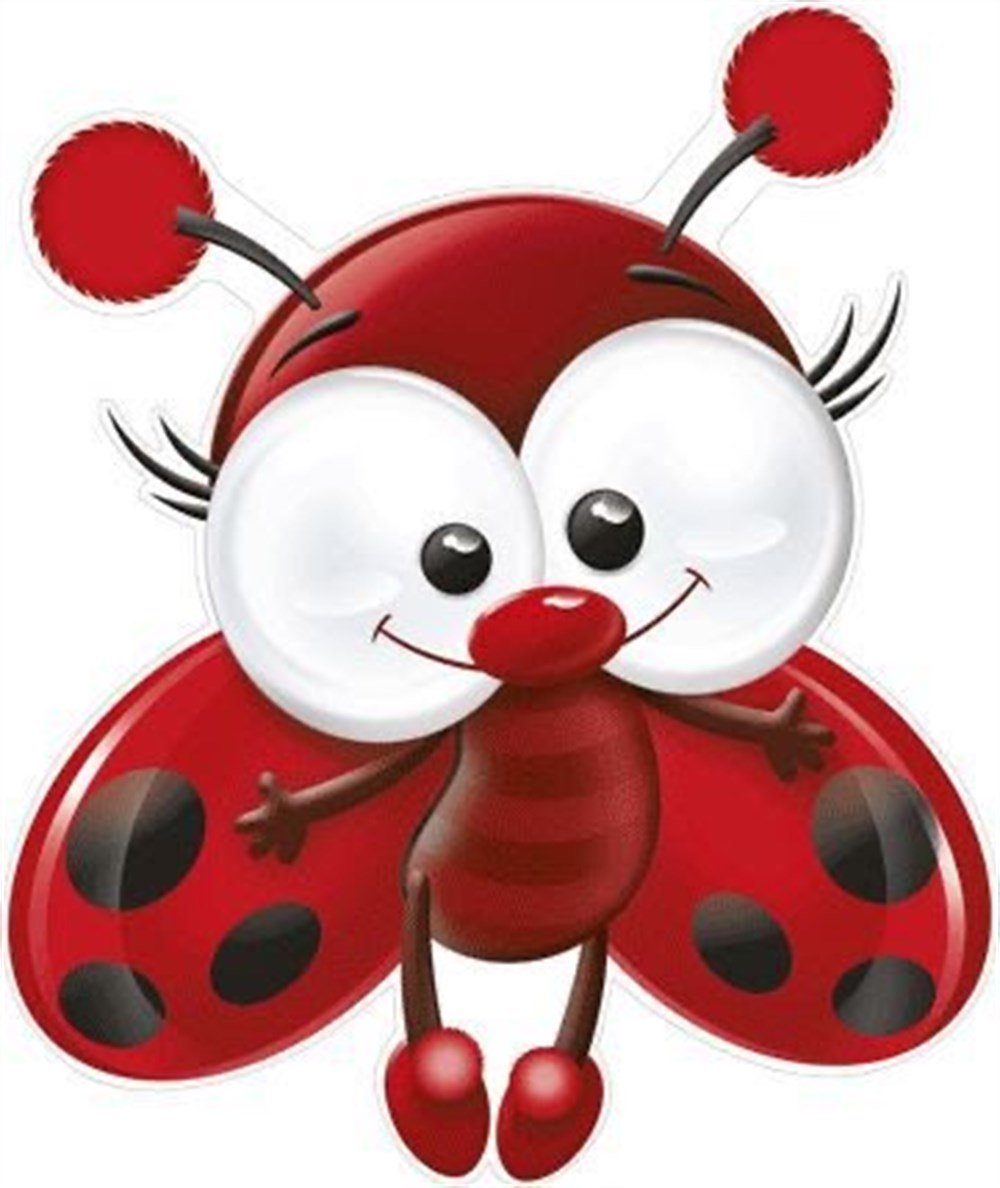 Uğur Böceği 20x23cm