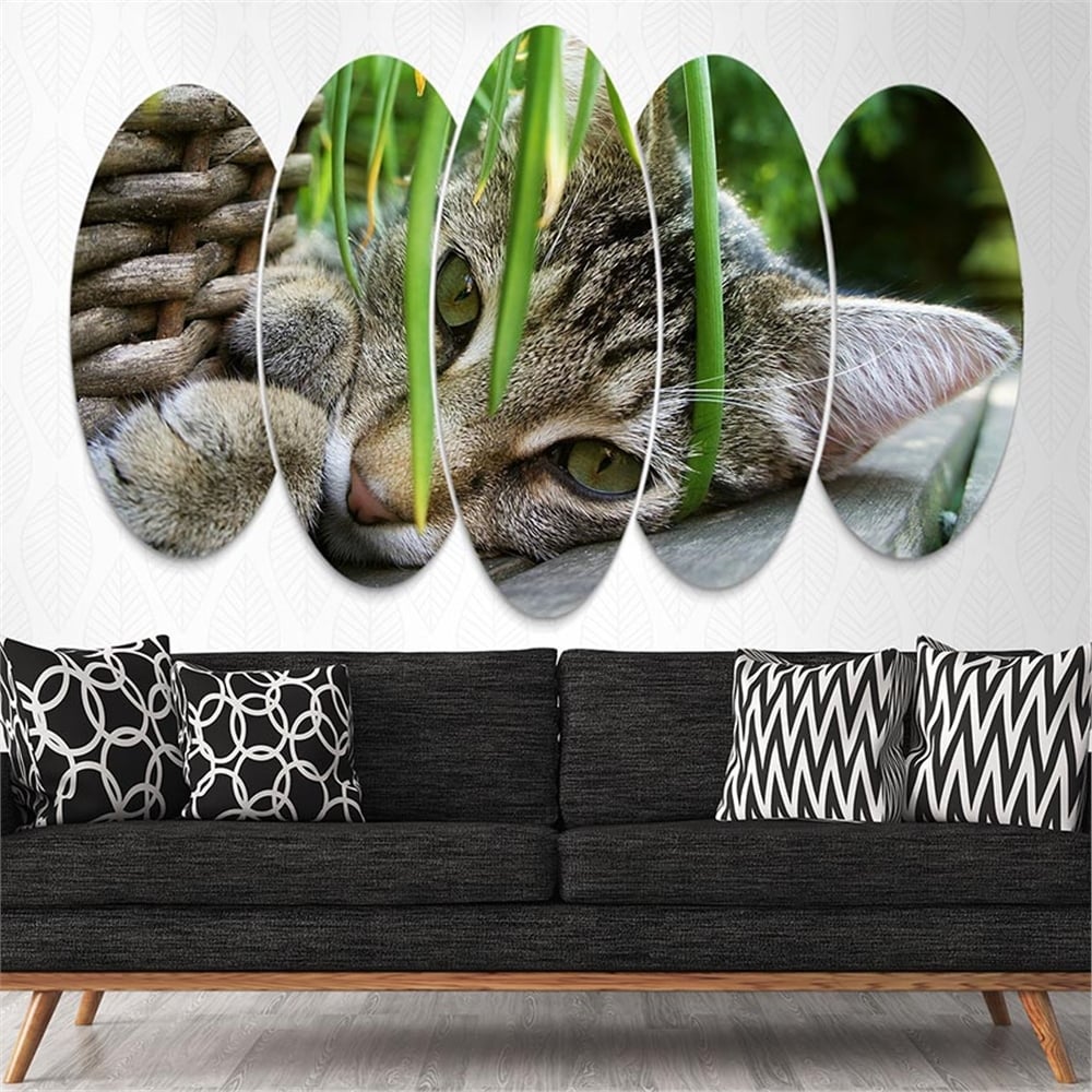 Kreatif 5 Parça Oval Tablo