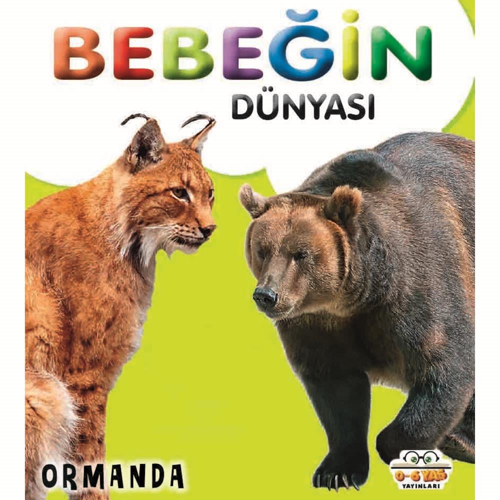06 YAŞ YAY /  BEBEĞİN DÜNYASI - ORMANDA