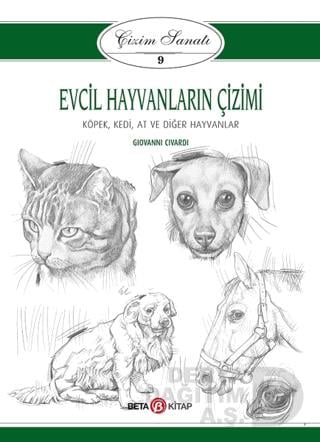 BETA / EVCİL HAYVANLARI ÇİZİMİ- ÇİZİMİ SANATI 9