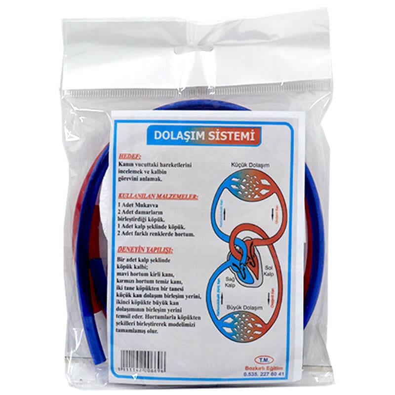 BİLGİ DOLAŞIM SİSTEMİ