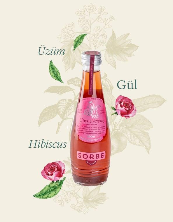 Naturals Hayat Veren 250 ml