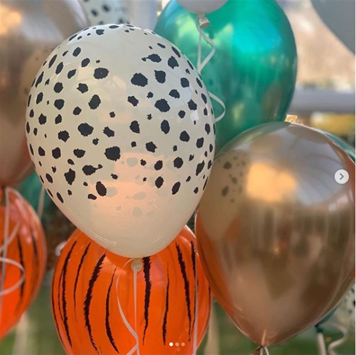 SAFARİ TEMALI BALON (10 ADET)
