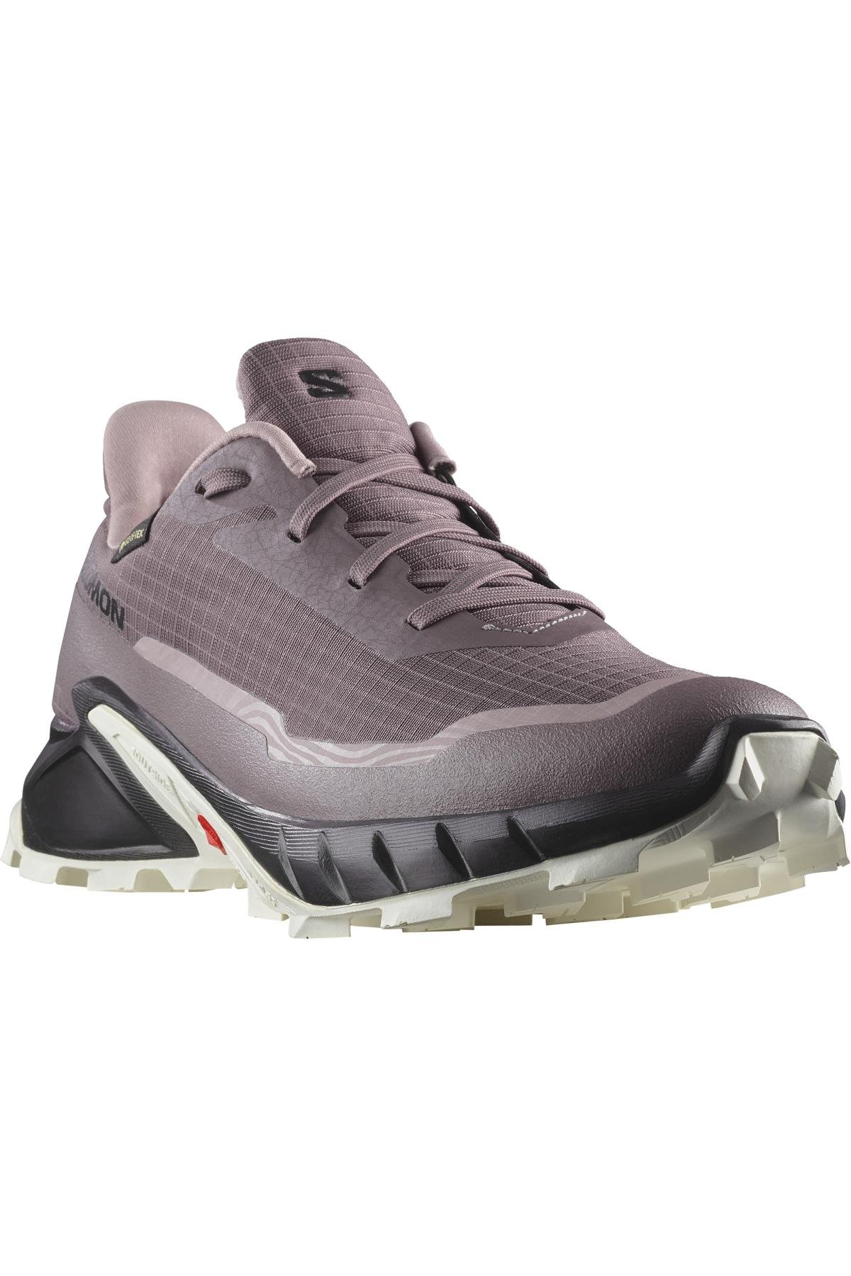 Salomon 473110 Alphacross 5 Goretex Outdoor Ayakkabı MOR