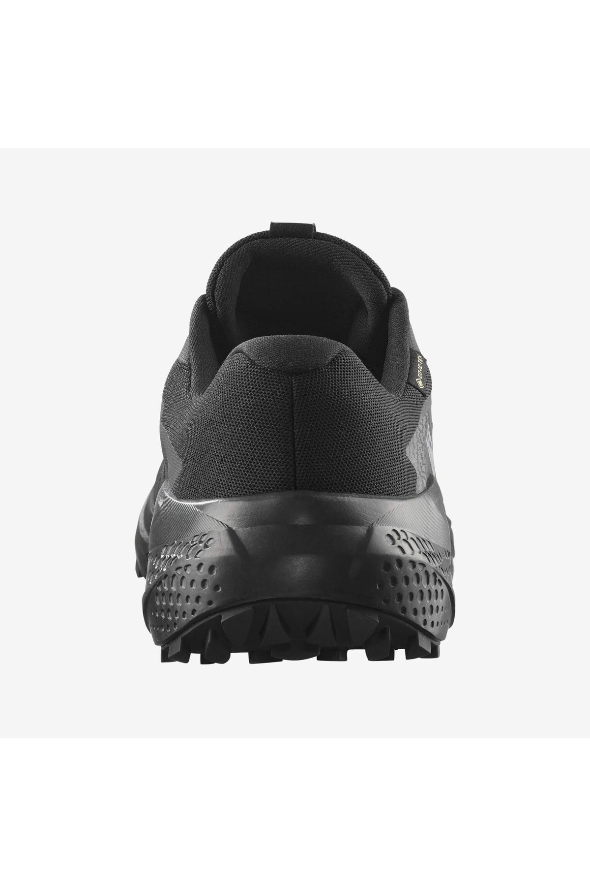 Salomon 478021 Alphaglide Goretex Erkek Patika Koşu Ayakkabısı SİYAH