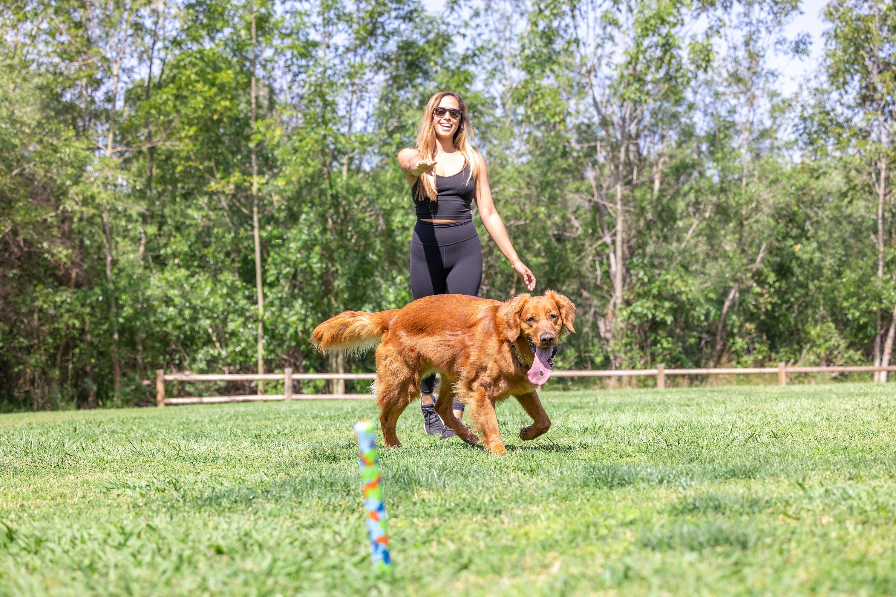 Chuckit! Eco Fetch Stick Doğa Dostu Köpek Oyuncağı - Oyun Topları ve Frizbiler