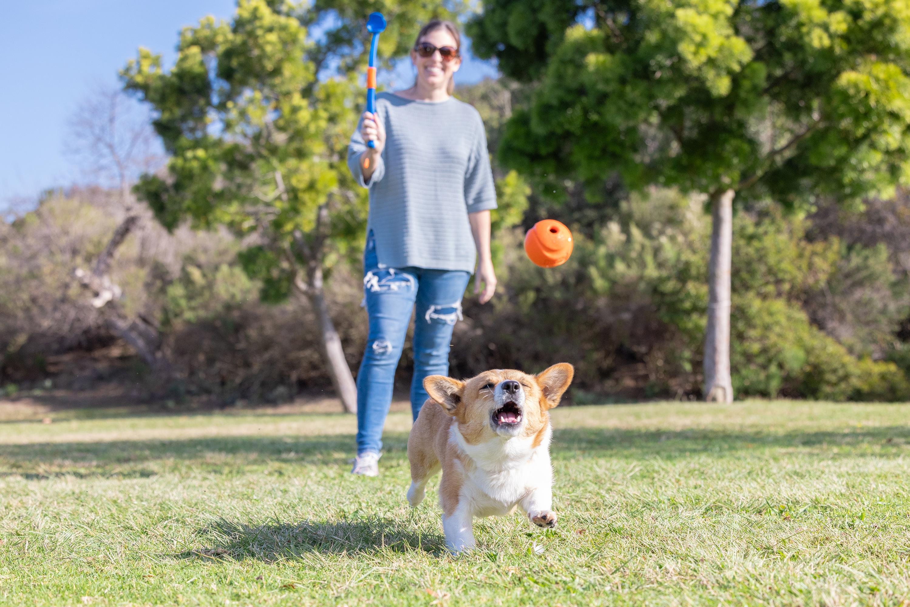 Chuckit! Fetch & Fold Mini Katlanabilir Top Fırlatıcı (Küçük Boy Fetch Ball Hediyeli) - Oyun Topları ve Frizbiler