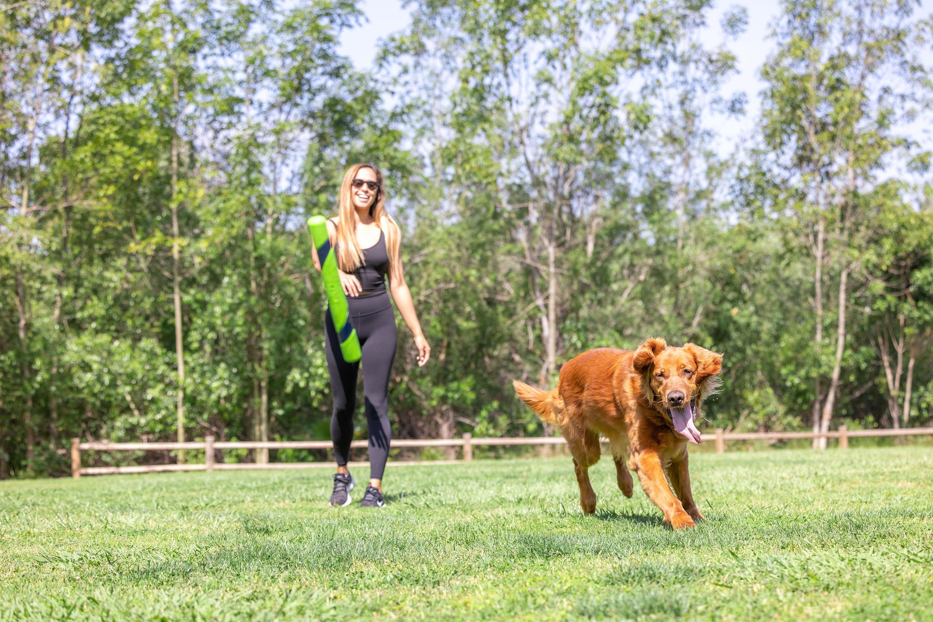 Chuckit! Sniff Fetch Stick Kokulu Köpek Oyuncağı (Fıstık Ezmesi Aromalı) - Oyun Topları ve Frizbiler
