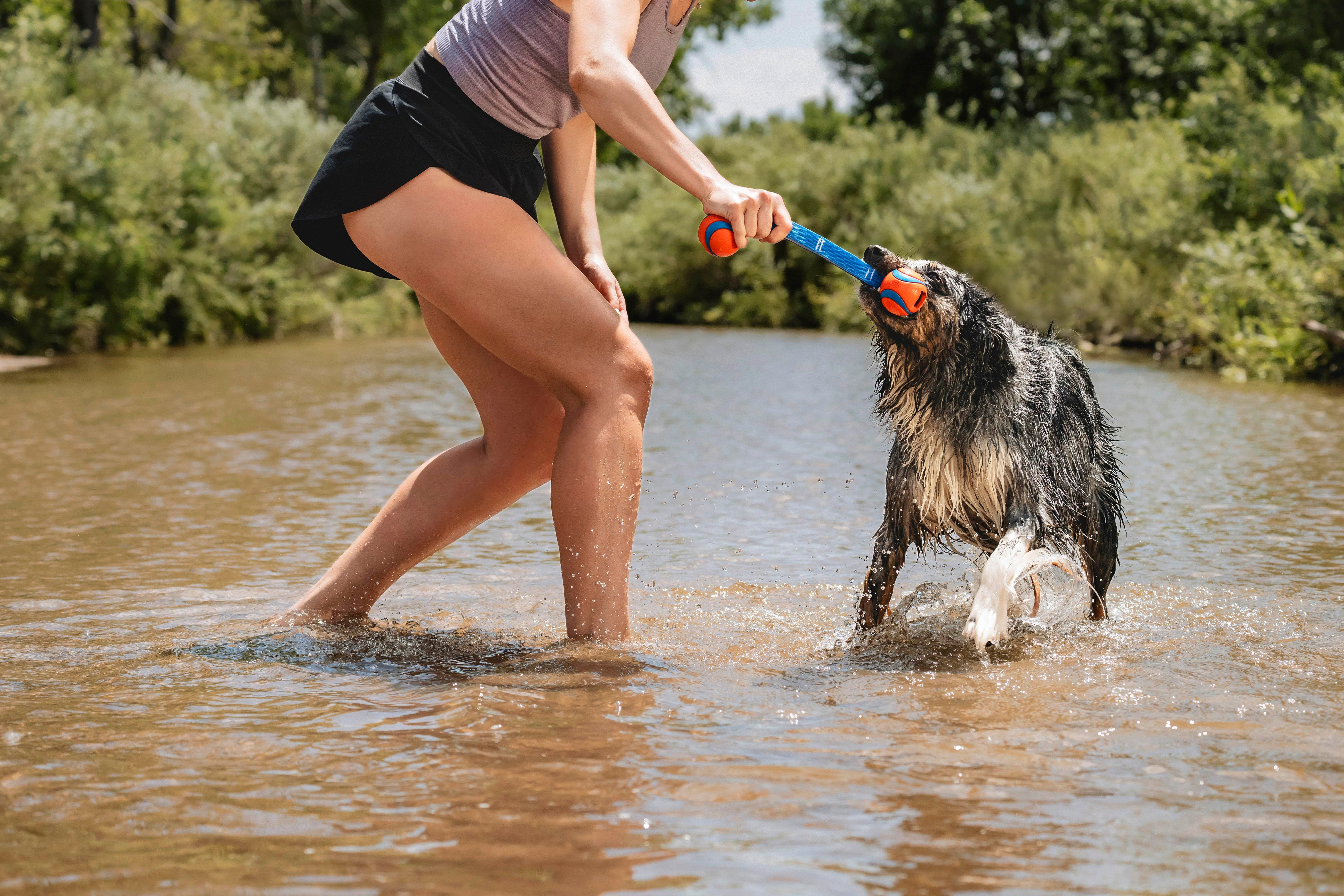 Chuckit! Ultra Duo Tug 2'li Köpek Çekiştirme Topu (Orta Boy) - Oyun Topları ve Frizbiler