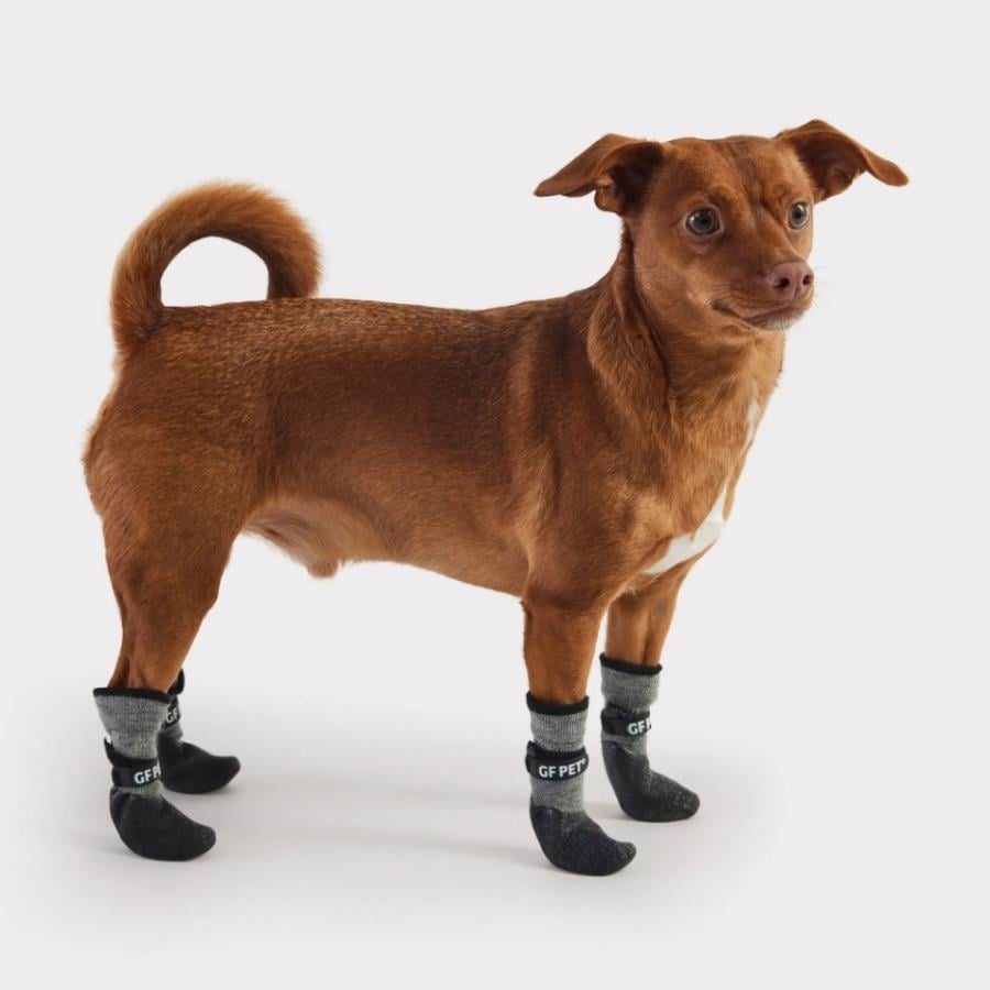 GF PET All Terrain Köpek Ayakkabısı - Köpek Kıyafetleri