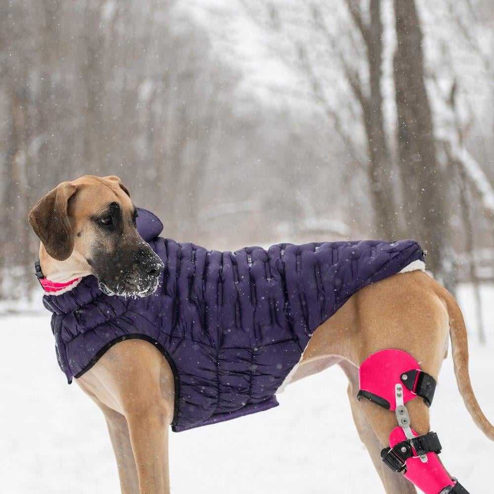 GF PET  Cloud Köpek Montu - Mor - Köpek Kıyafetleri