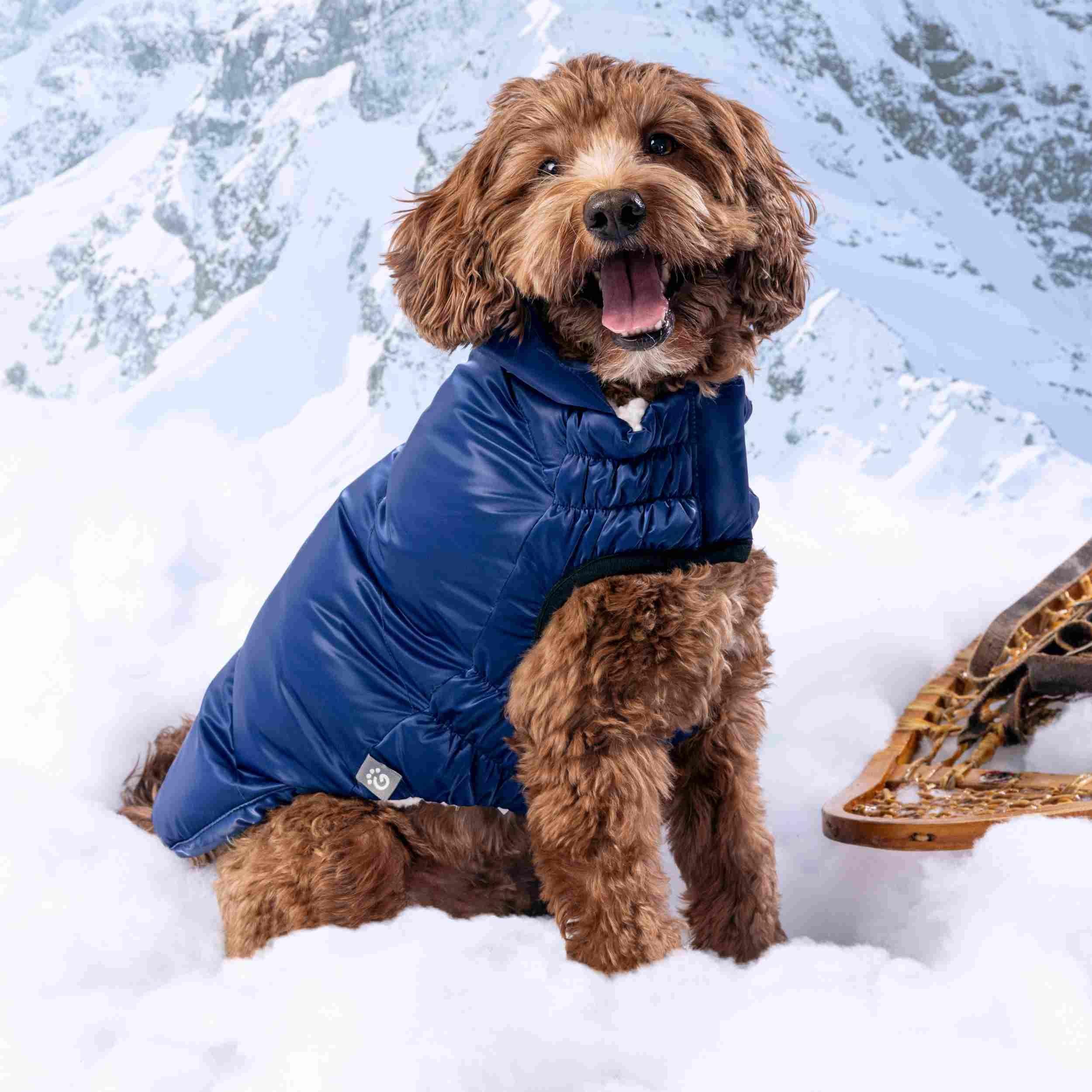 GF PET Lunar Glow Köpek Montu - Lacivert - Köpek Kıyafetleri