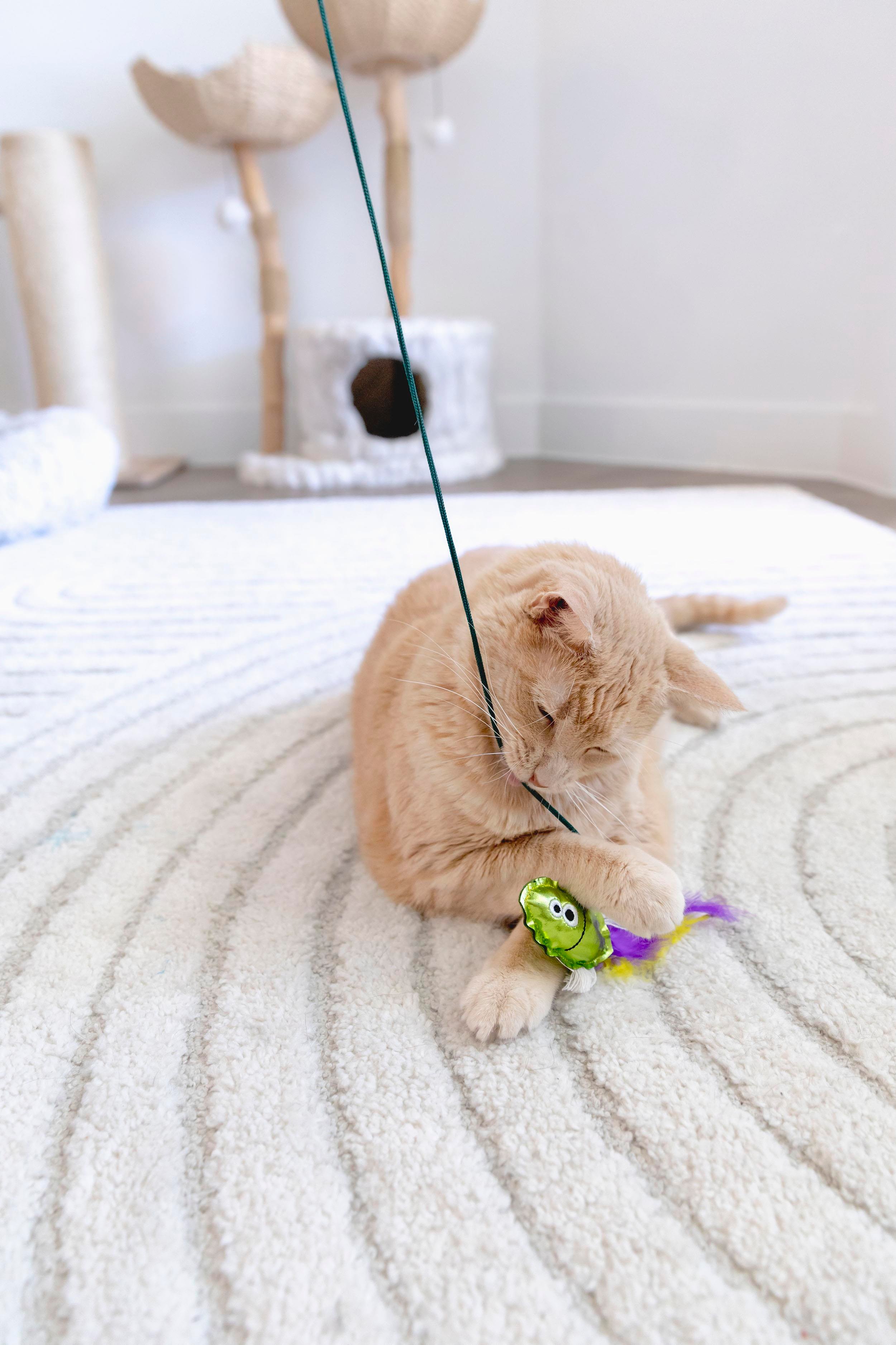Mad Cat Sea Wand Kedi Otlu ve Matatabili Kedi Oltası - Oltalar