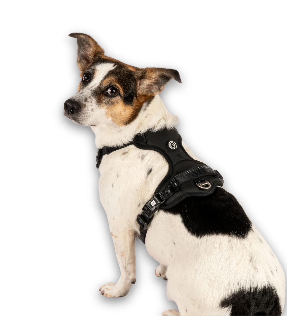 Matrix 2.0 Akıllı Künyeli Sport Köpek Göğüs Tasması - Black (XS) - Göğüs Tasmaları
