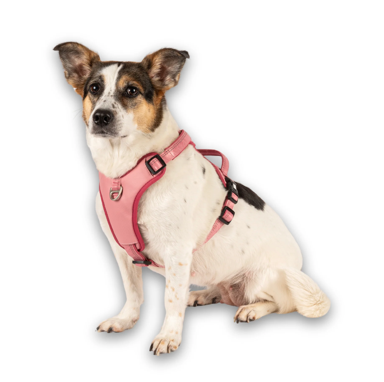 Matrix 2.0 Akıllı Künyeli Sport Köpek Göğüs Tasması - Rose (XS) - Göğüs Tasmaları