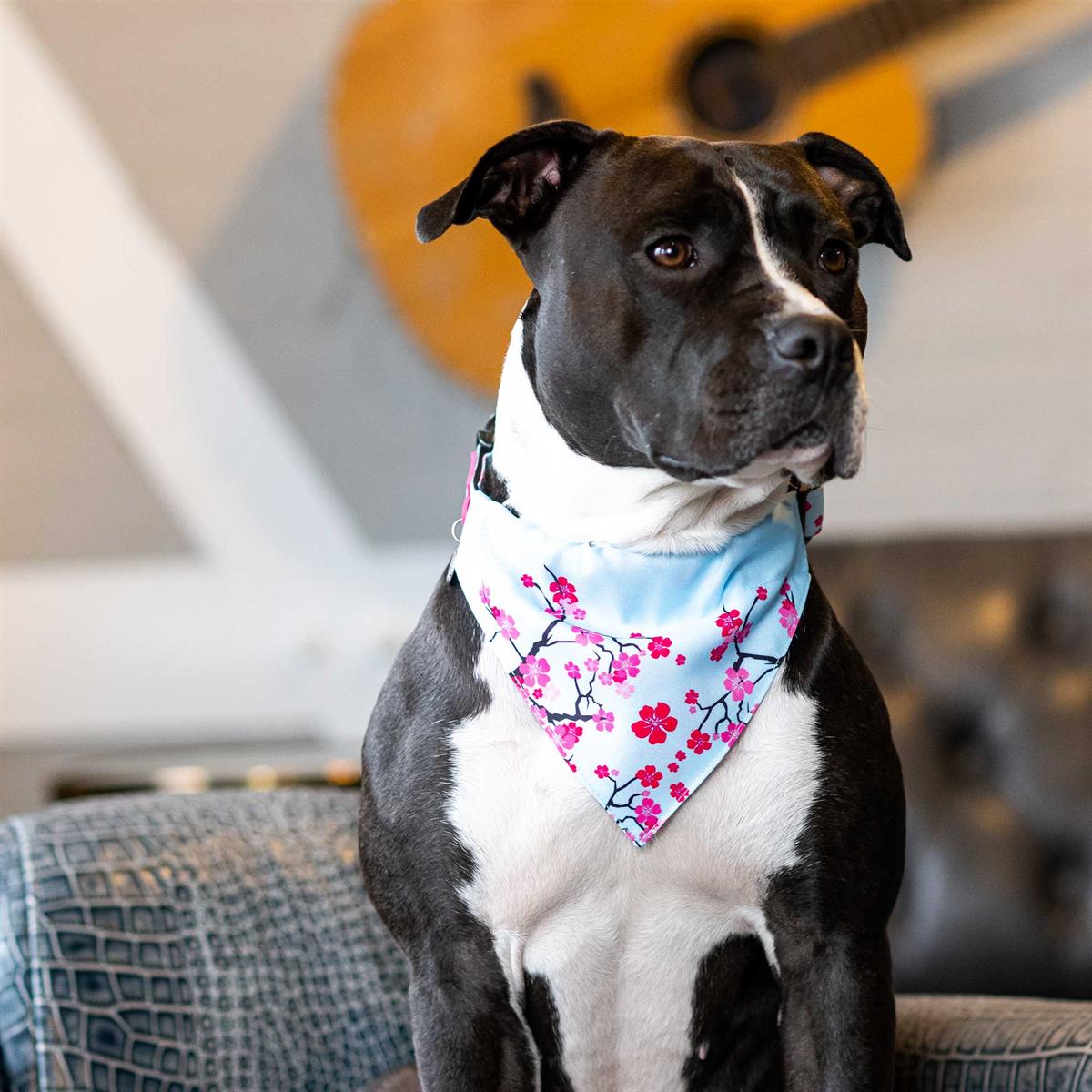 Max & Molly Cherry Blossom Bandana - Bandanalar