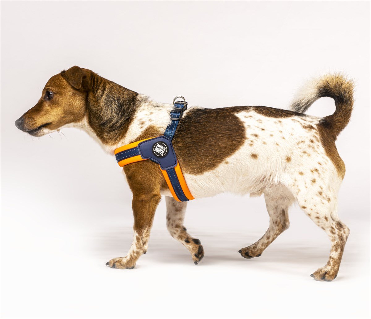 Max & Molly Q-Fit Matrix Orange Göğüs Tasması - Boyun Tasmaları