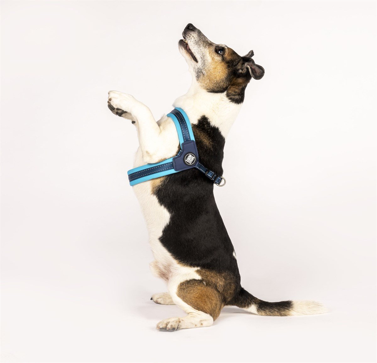 Max & Molly Q-Fit Matrix Sky Blue Göğüs Tasması - Göğüs Tasmaları