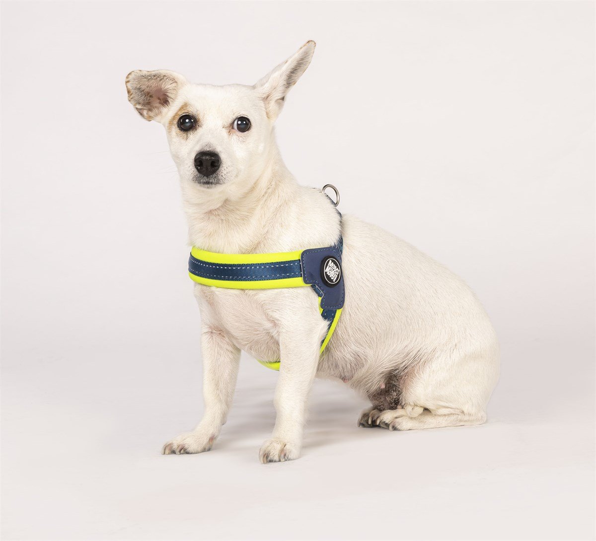Max & Molly Q-Fit Matrix Yellow Göğüs Tasması - Göğüs Tasmaları
