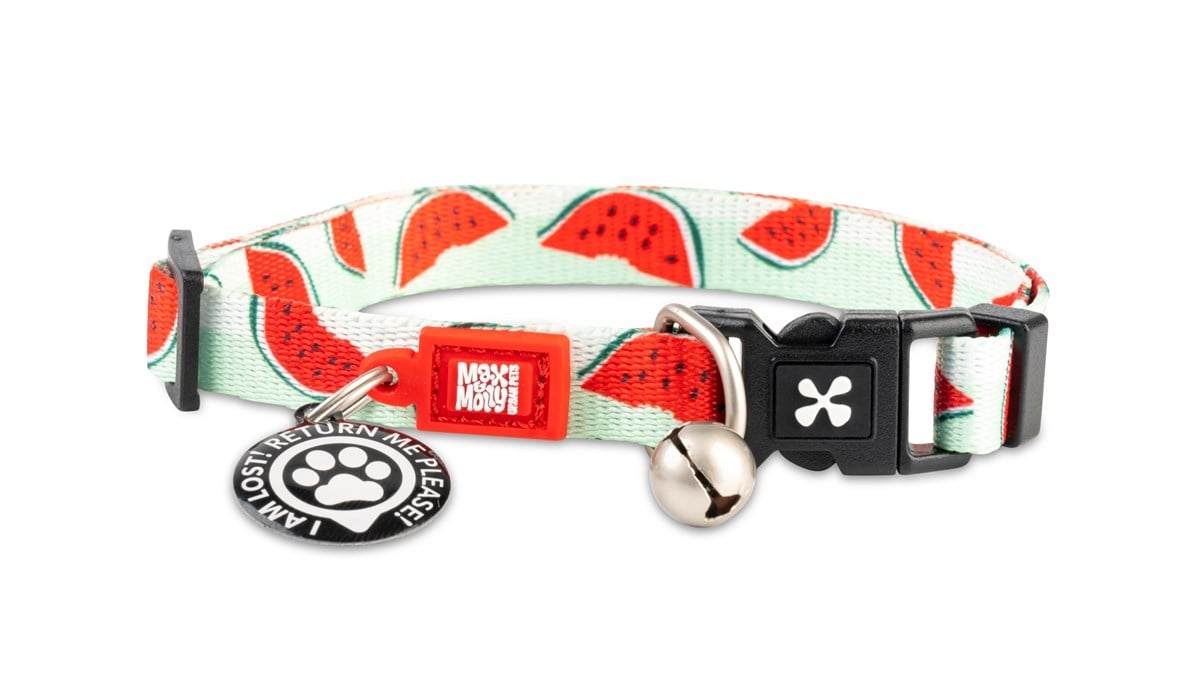 Max & Molly Smart ID Watermelon Kedi Boyun Tasması - Boyun Tasması