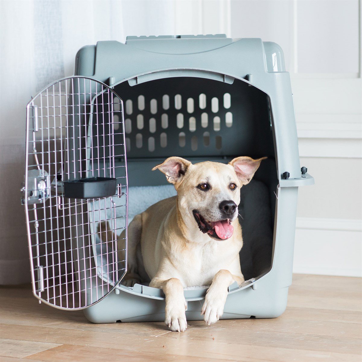 Petmate Sky Kennel Taşıma Kafesi No:6 (92 x 64 x 69cm) - Plastik Taşımalar