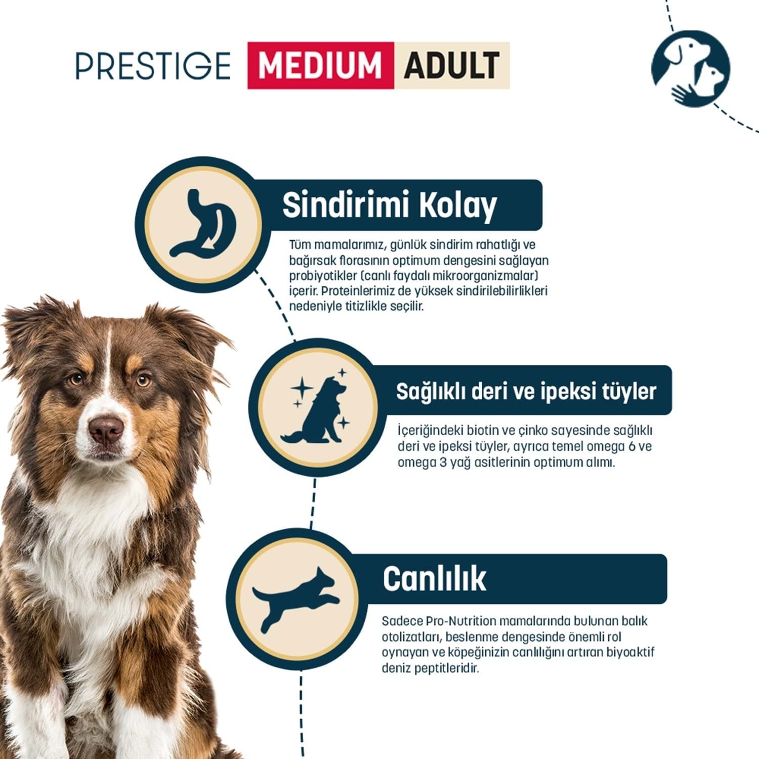Pro Nutrition Prestige Orta Irk Yetişkin Köpek Maması 14KG - Köpek Kuru Mamaları