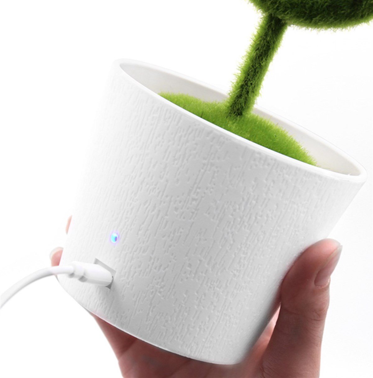 Masaüstü Ofis Hava Temizleyici Bitki