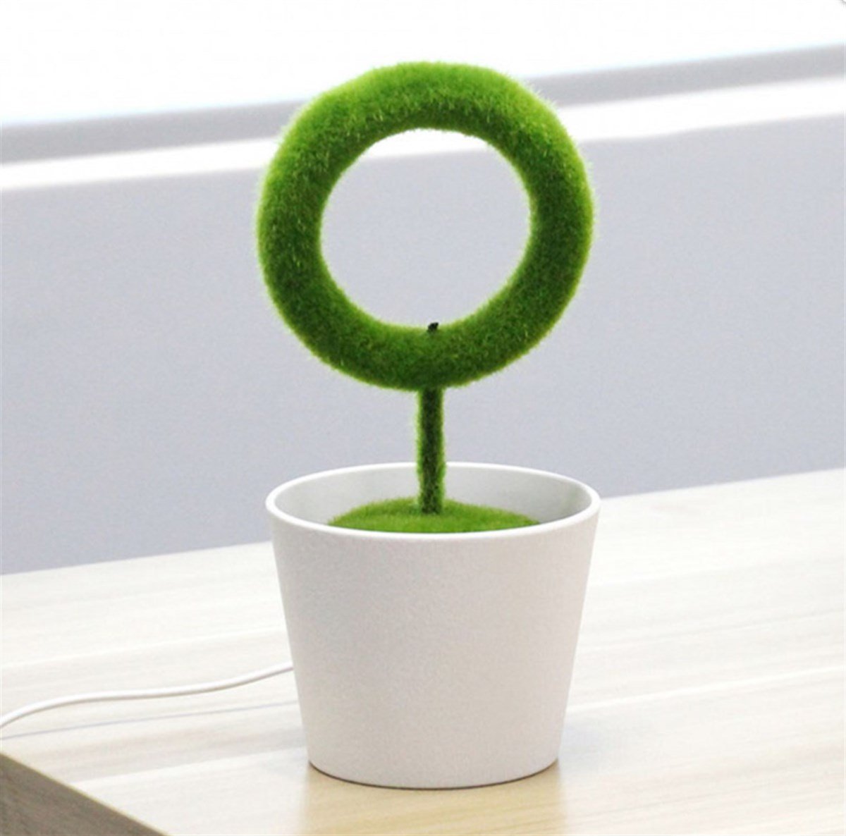 Masaüstü Ofis Hava Temizleyici Bitki