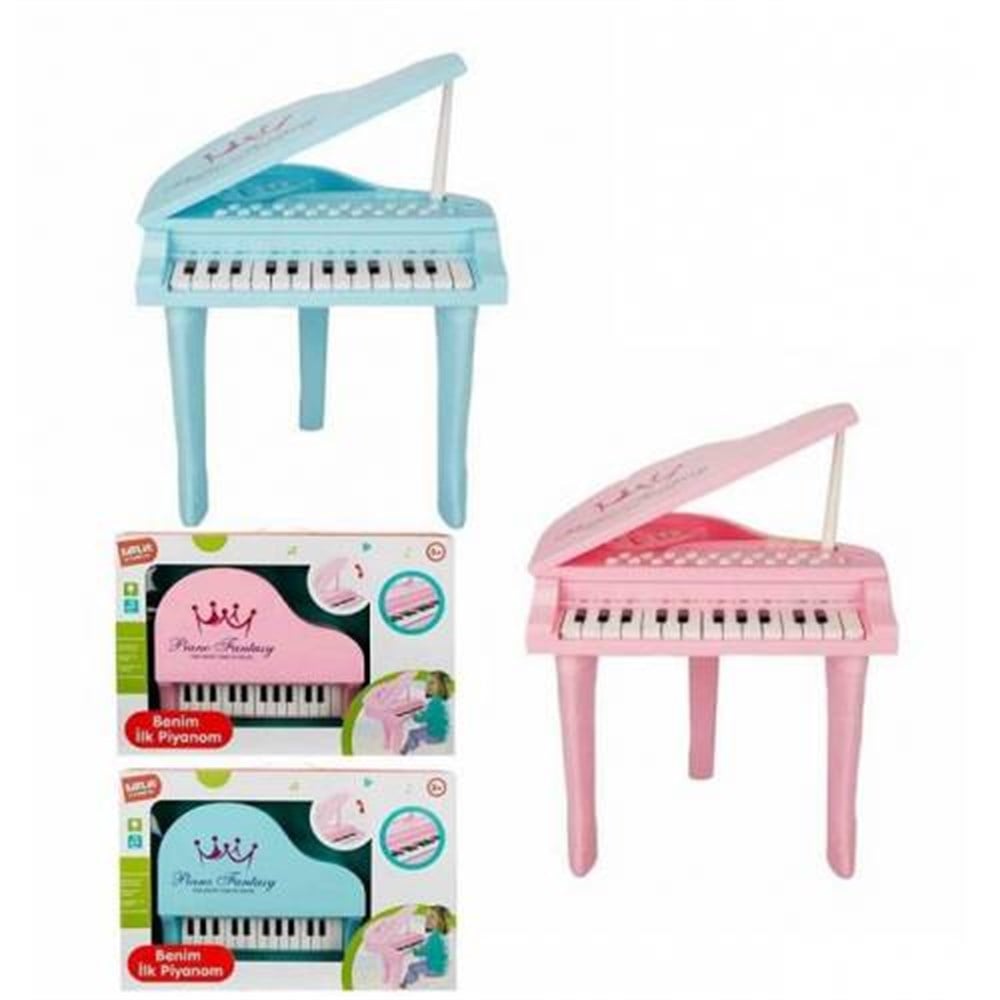 Sesli ve Işıklı Benim İlk Piyanom 25 Tuşlu Kayıt Özellikli