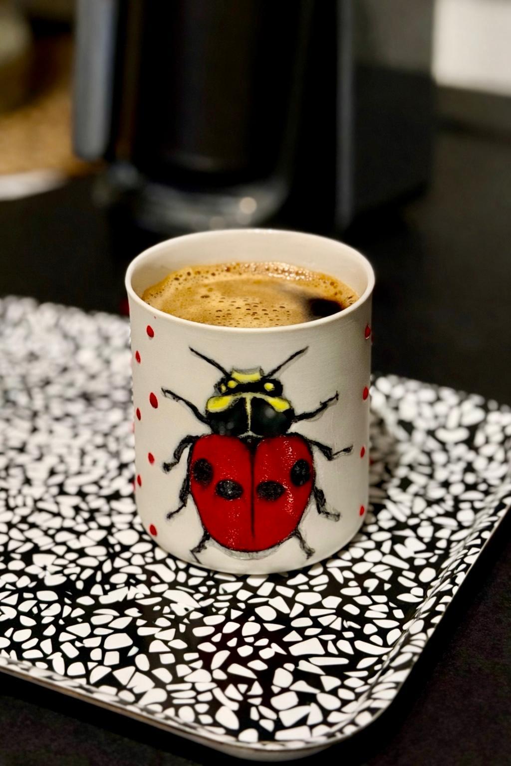 GAIA-LADY BUG/LARGE PORSELEN BARDAK