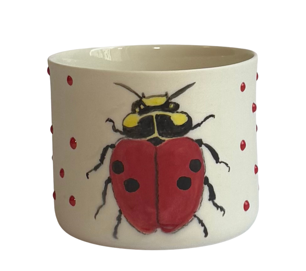 GAIA-LADY BUG/MEDIUM PORSELEN BARDAK