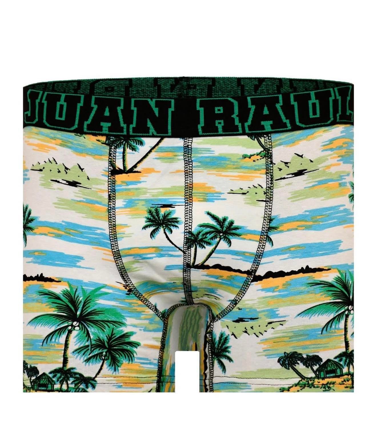 %100 Pamuk/Likra Kumaş Palmiye Desenli Boxer