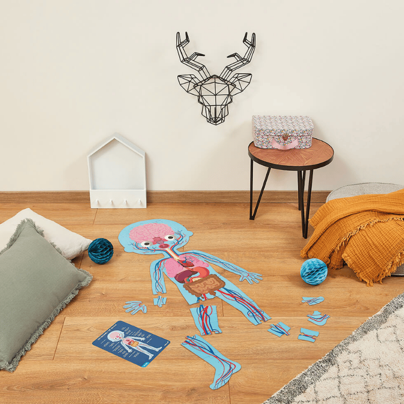Janod Öğretici Puzzle - İnsan Vücudu 4'lü Set