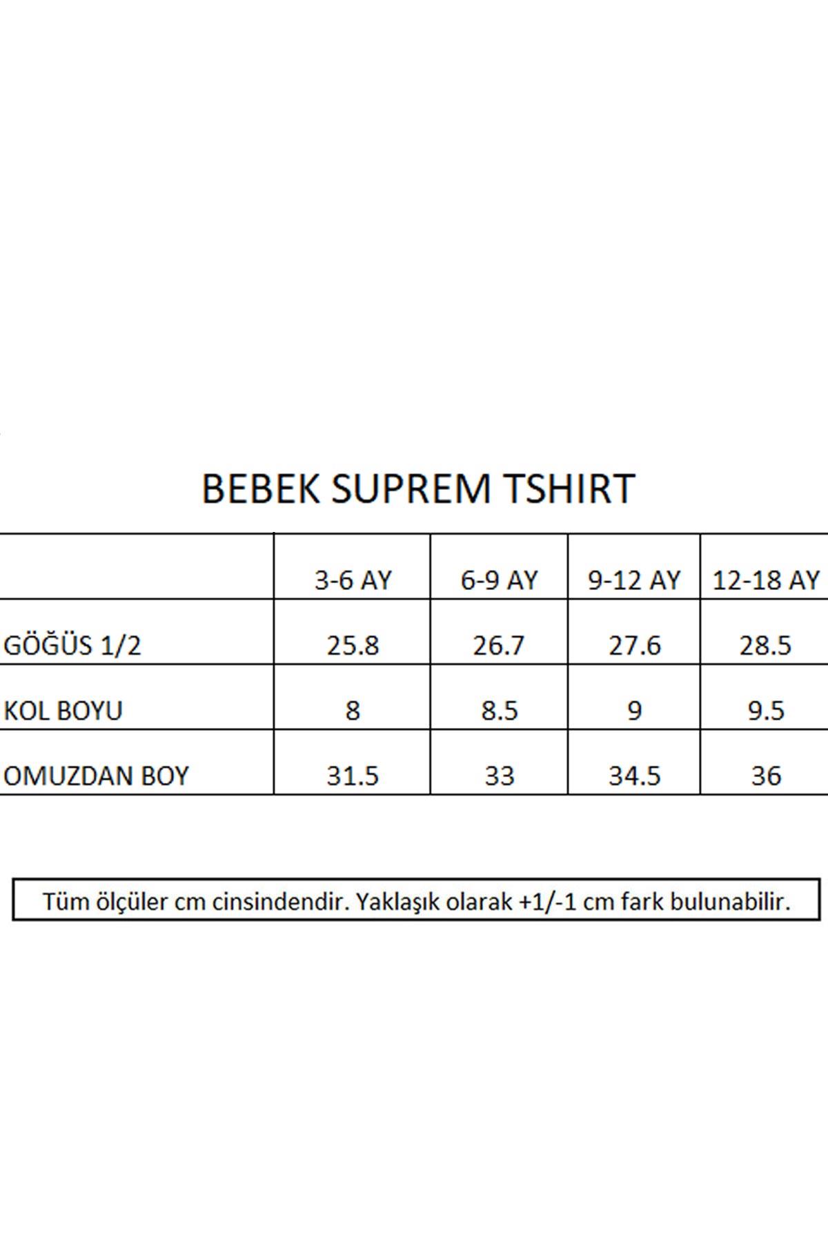 Miela Bon Voyage Nakışlı Slogan Bebek T-shirt