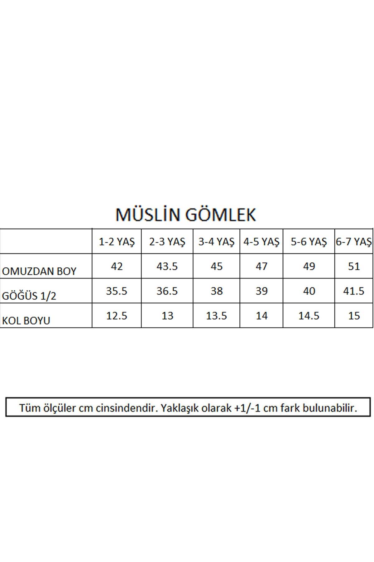 Palmiye Nakışlı Müslin Resort Gömlek - Mint