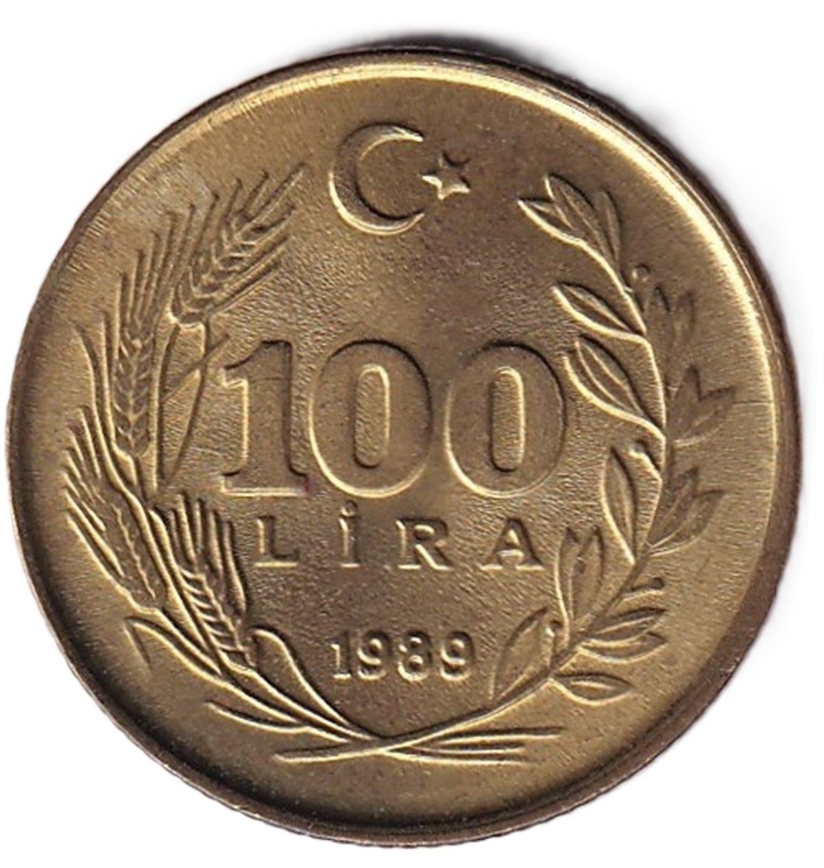 1981-2004 Dönemi Madeni Paraları100 Lira (1989) ÇİL Eski Madeni Para