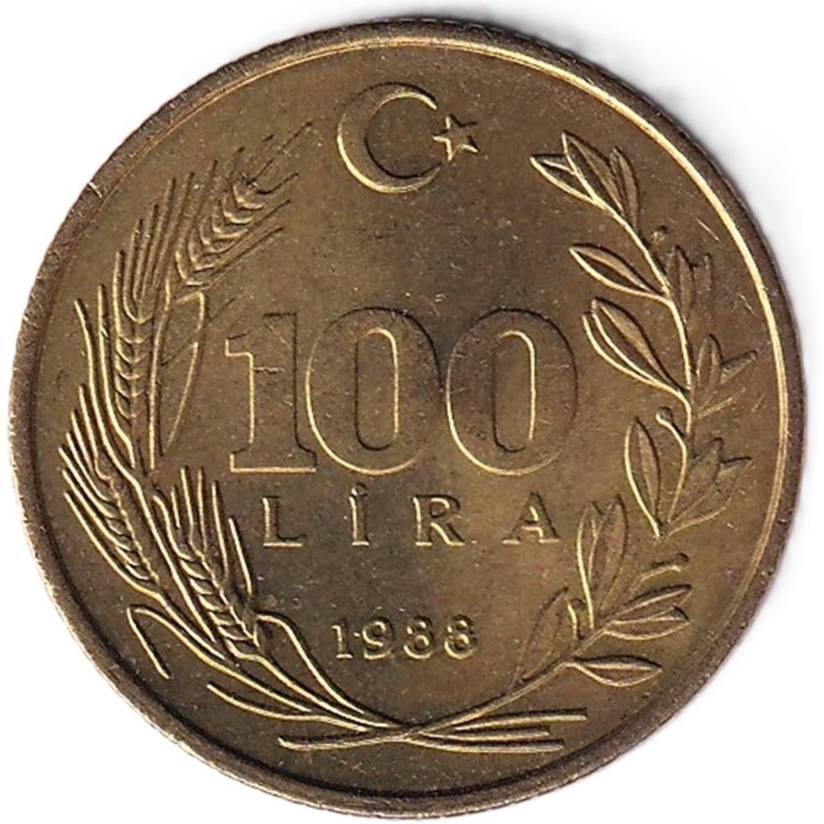 1981-2004 Period Coins100 Lira Pirinç (1988) ÇİL Eski Madeni Para