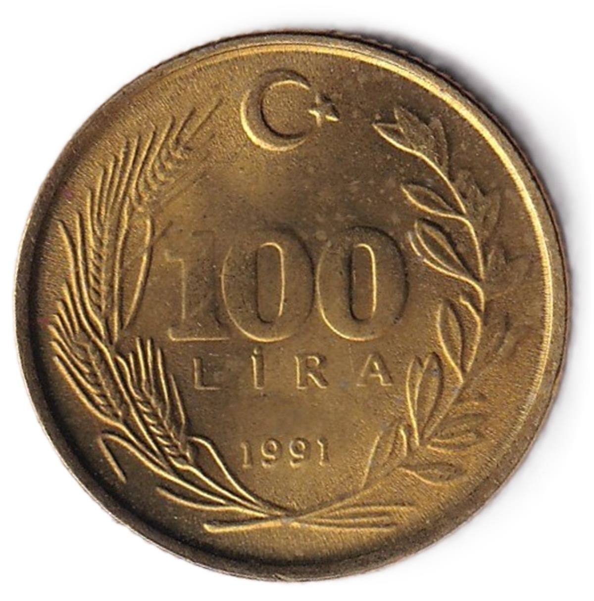 1981-2004 Period Coins100 Lira (1991) ÇİL Eski Madeni Para