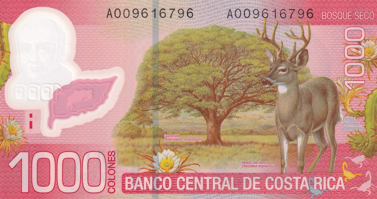 Foreign State BanknotesKosta Rika, 1000 Colones (2009) P#274 Polimer ÇİL Eski Yabancı Kağıt Para
