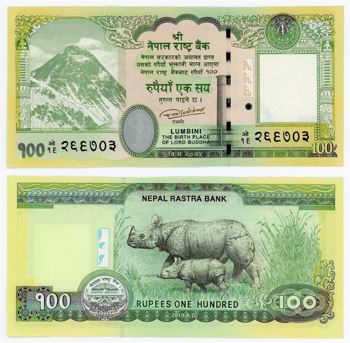 Foreign State BanknotesNepal, 100 Rupi (2019) ÇİL Eski Yabancı Kağıt Para