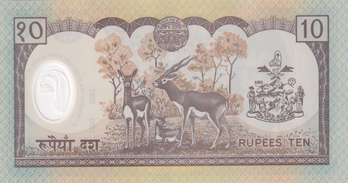 Foreign State BanknotesNepal, 10 Rupi (2002) P#45 ÇİL Eski Yabancı Hatıra Polimer Para