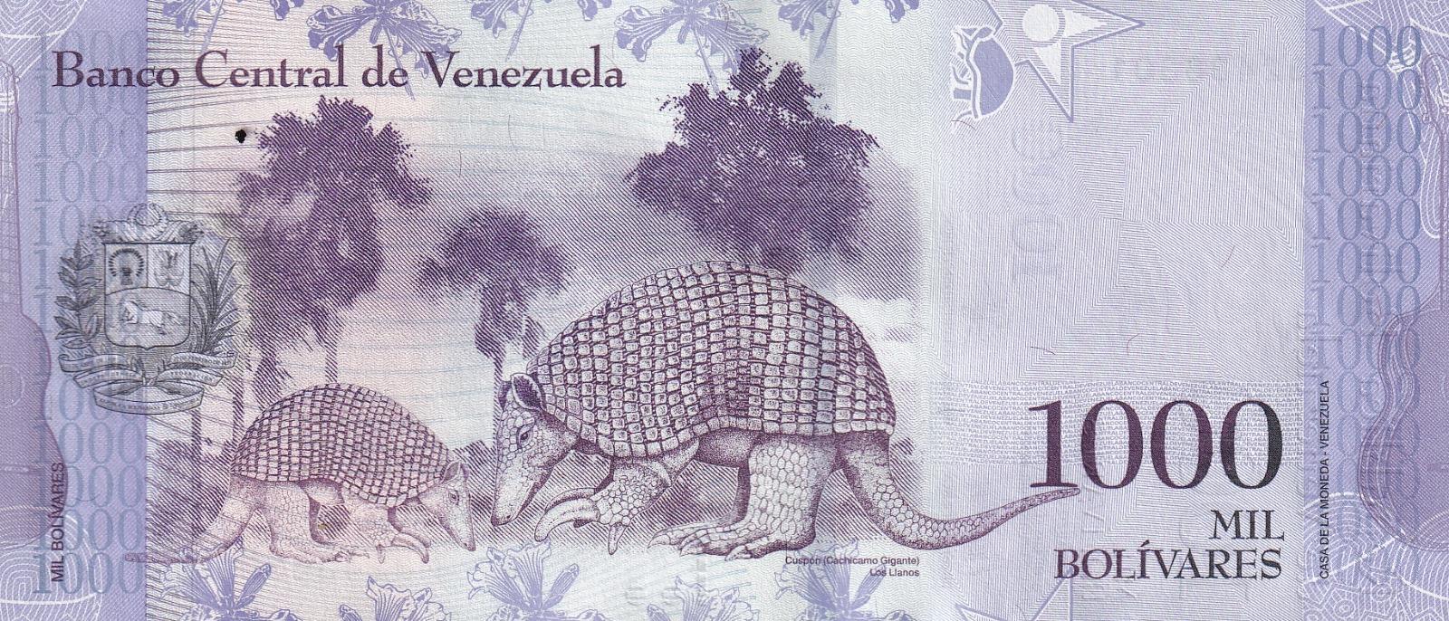 Foreign State BanknotesVenezuela, 1.000 Bolivar (2017) ÇİL Eski Yabancı Kağıt Para
