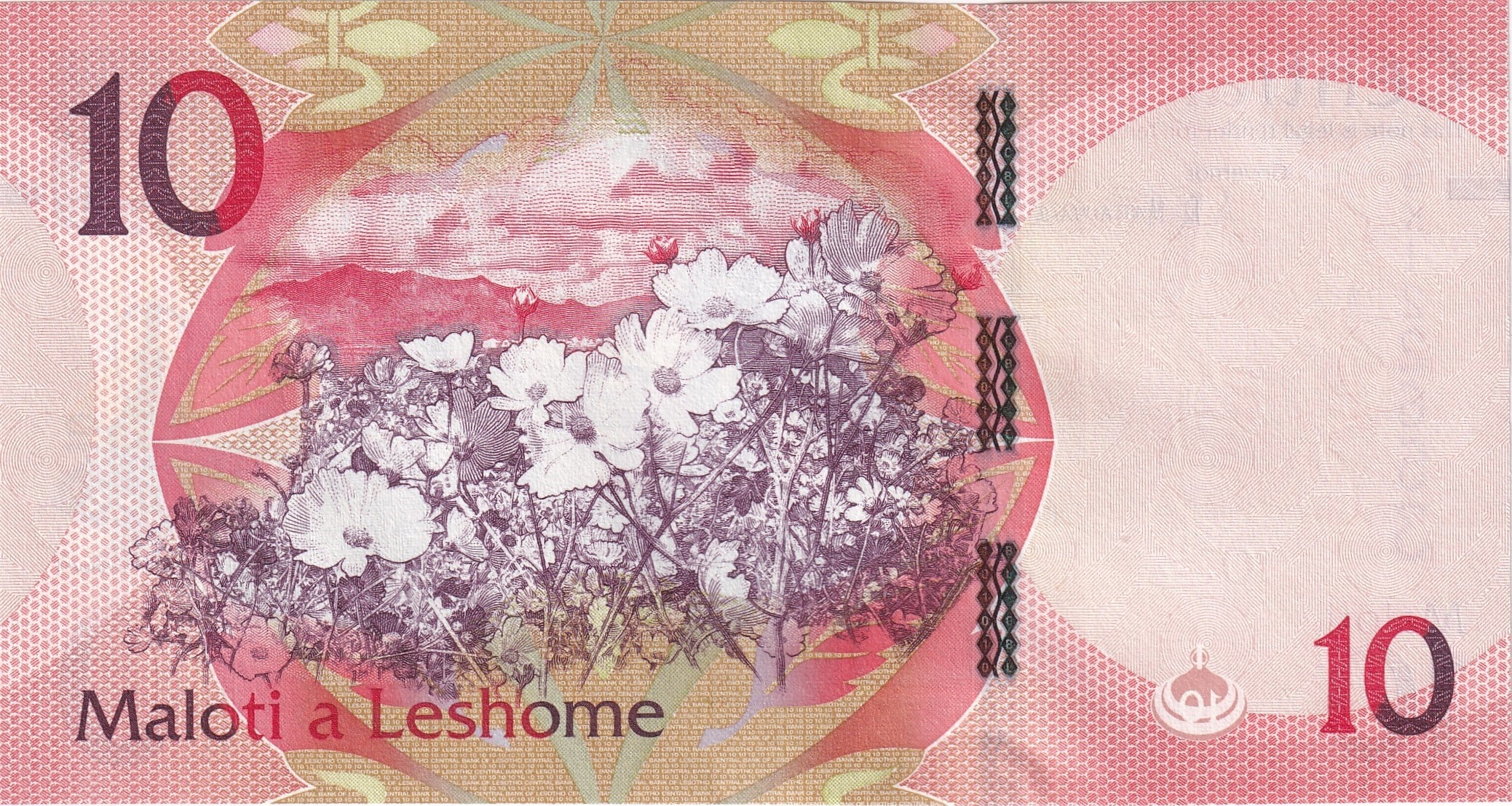Foreign Paper MoneyLesotho, 10 Maloti (2021) ÇİL Eski Yabancı Kağıt Para