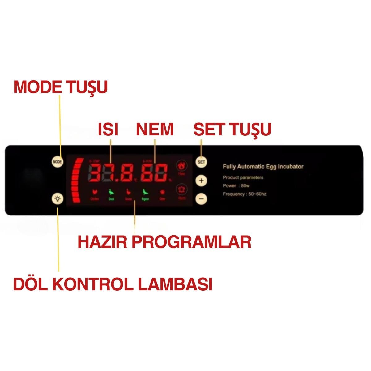56-yumurtalik-kulucka-makinesi.jpg