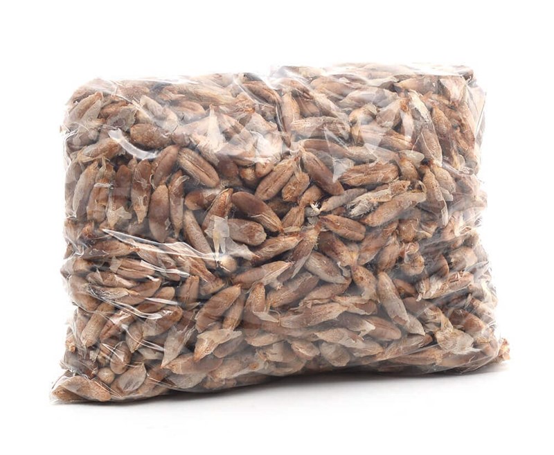 Hurma Çekirdeği 1 kg